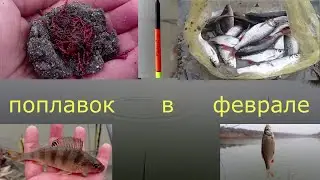 поплавочная рыбалка в феврале
