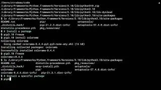 Installing Packages Using pip and Creating requirements.txt Files