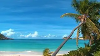 Relaxing Music - Piano Music for Stress Relief, Sleep Music, Meditation Music