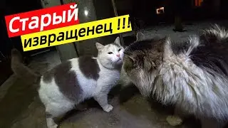 Отрубал головы топором обоим !!! Многие женщины упадут в обморок прям перед телевизором.