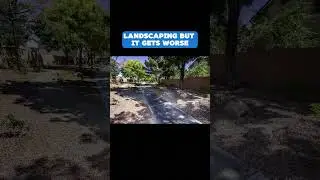 Oh look! Las Vegas landscaping! but it gets worse