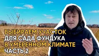 ВЫБИРАЕМ УЧАСТОК ДЛЯ САДА ФУНДУКА В УМЕРЕННОМ КЛИМАТЕ ЧАСТЬ 2