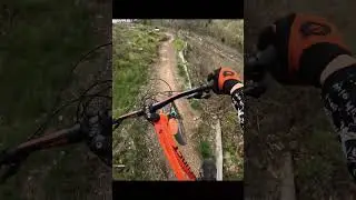 🔥Bikepark Bodetal & MSB X Trail🔥
