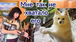 ✅ ЧЕРЕЗ ДВА МЕСЯЦА ОН ВЕРНУЛСЯ @HozajushkaRuta @RutaLutkevica