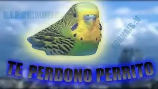 TE PERDONO PERRITO | FORNAIS XDXD