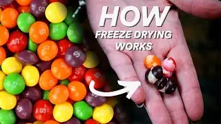 What is Freeze Drying?
