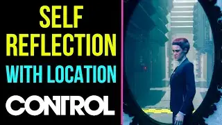 Control Self Reflection - Side Mission [ With Location ] MP Trophy