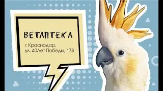 Зоотовары. Ветаптека КЗВС на 40Лет Победы, 178 !