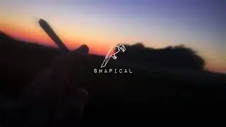Post Malone - Circles (Español)
