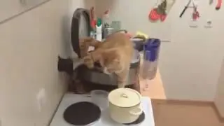 Приколы свежак позитив