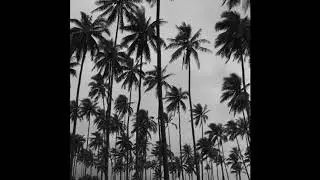 (FREE) FRANK OCEAN X MAC MILLER CHILL TYPE BEAT - BREEZY