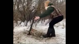 Рысь, капкан, освобождение