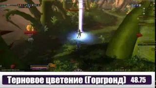 Доказательство силы: цветок ботани