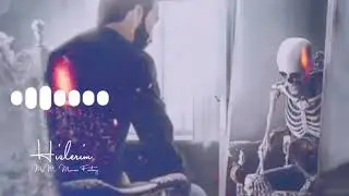Hislerim