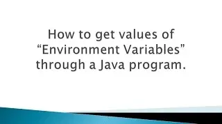 How to get values of Environment Variables through a Java program ?