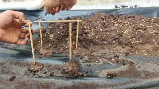 Making A sheltore for cows |Miniature @LETS CRAFT AND DRAW