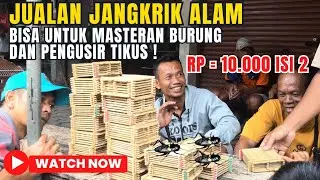 CUMAN 10.000 TAPI BERMANFAAT❗ #vlog #burung #masteran #cendet #viral #masteranburung