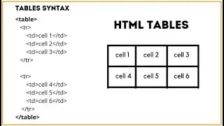 34-dars. HTML Table | table, thead, tbody,  td, th, tr | Alicoder | alicoder.uz | Islom Baxromov