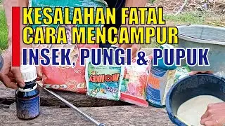 🔴WAJIB TAU..❗Cara Mencampur INSEKTISIDA FUNGISIDA DAN PUPUK