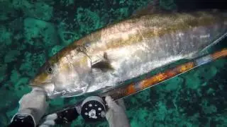 video minikraken joan vazquez pesca submarina
