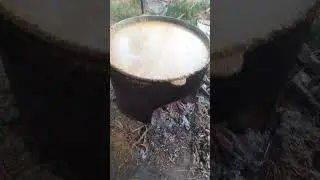 гуножин бокиш арзон йем 