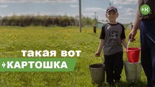Такая вот картошка: вдовцу с тремя детьми не хватает денег, чтобы обрабатывать свою землю