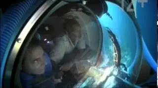 NAT GEO WILD - Короли аквадизайна