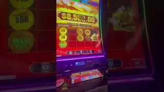 Get On The Train With My Friend D-Dub! #gambling #casino #shorts