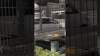 Необычная парковка в Японии