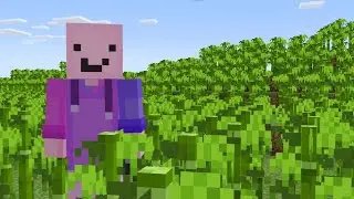 Placing Bamboo Until This Server Bans Me