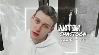 Anton Shastoon | xo