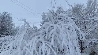 30 декабря 2022 г.