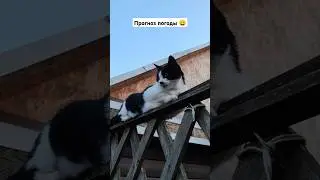 Про важность ударений!