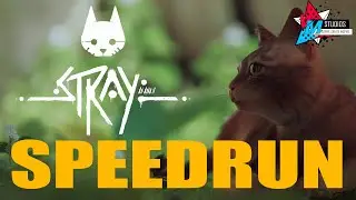 Speedrunning the Cat Simulator Game, STRAY!