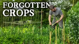 The Biggest Mistake Gardeners Make in May