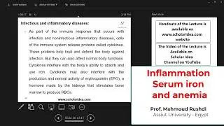 How Inflammation and anemia are connected?