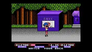 Target: Renegade - Continue and Game Over Screen