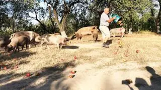 Mattinata Felice con i Nonni in un Villaggio Isolato