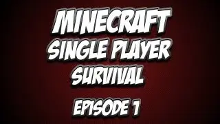 Singleplayer Survival | Episode 1 | Back To The Basics