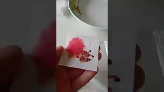 мыло сделай сам
