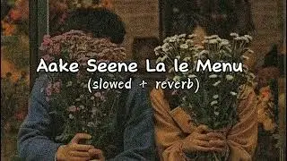 Aake Seene La le Menu (slowed + reverb)❤️‍🩹🥹