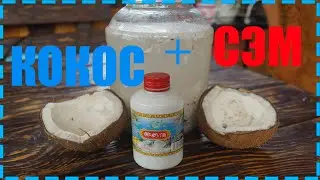 Кокосовая водка, результат удивил