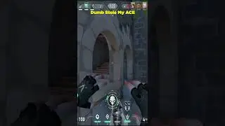 Dumb Stole My ACE #valorant #valorantclips #royalgamer