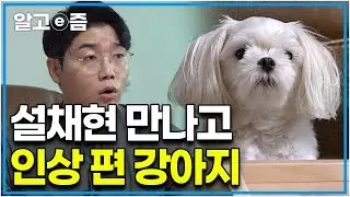 "정말 최고로 싫다는 표현을 하고 있었네요" 엄마가 손대면 엄청나게 싫어하며 으르렁거리던 개가 설채현 수의사를 만나고 완전히 변했다?｜세상에 나쁜 개는 없다｜알고e즘