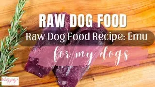 Emu Raw Dog Food Meal for Three Large Dogs in Minutes #RawFeeding #KeepTheTailWagging