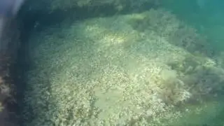 Абрау Дюрсо база Лиманчик купаемся