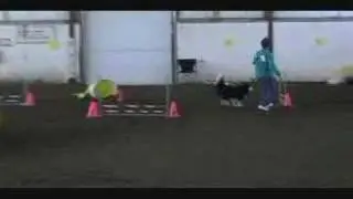 Robin in Masters Jumpers March 2008