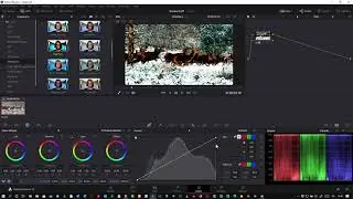 Come installare, creare e esportare LUT personalizzate con DaVinci Resolve