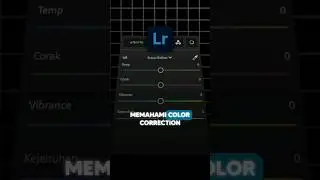 Part 3 | Memahami Color Correction di Aplikasi Lightroom Mobile