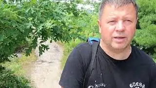 9 июля 2024 г.